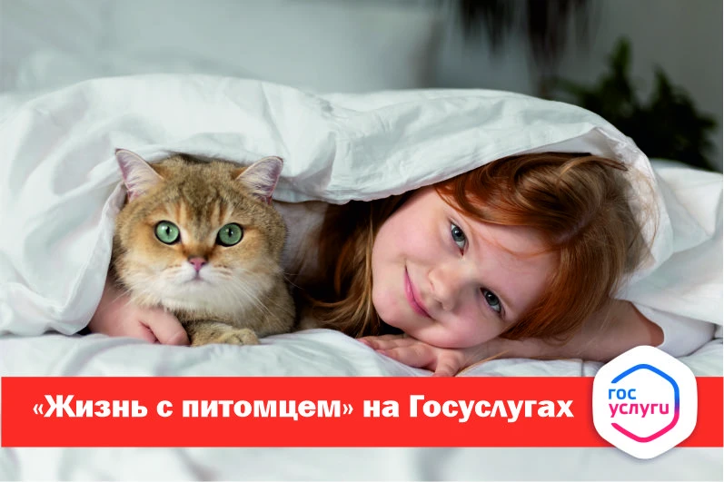 Лайфхак для всех, у кого есть (или скоро будет) пушистый друг!