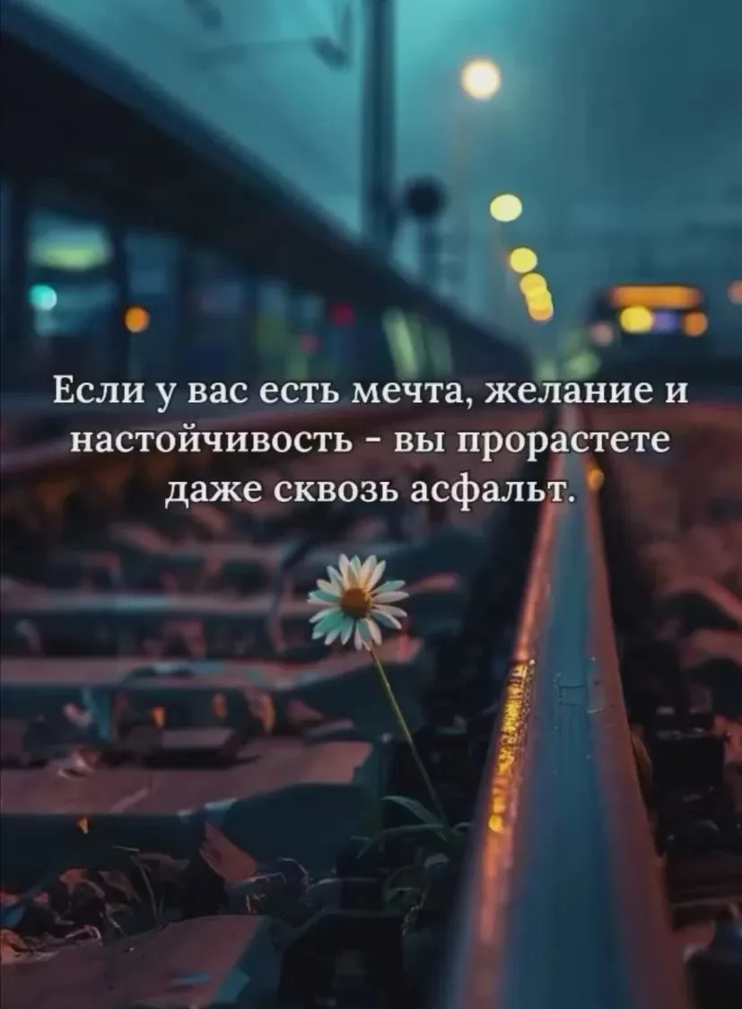 #мудростьдня