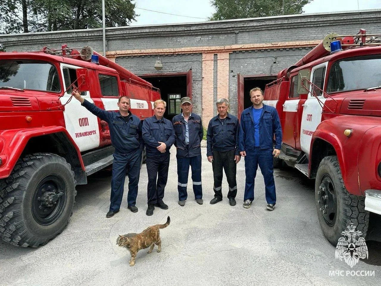 🍁Доброго утра дорогим подписчикам от огнеборцев из Теплоозёрска и их кошки Муси