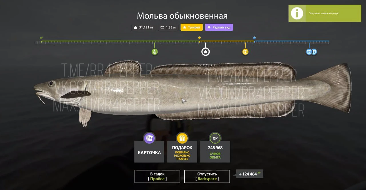 #норвежское@rr4pepper
