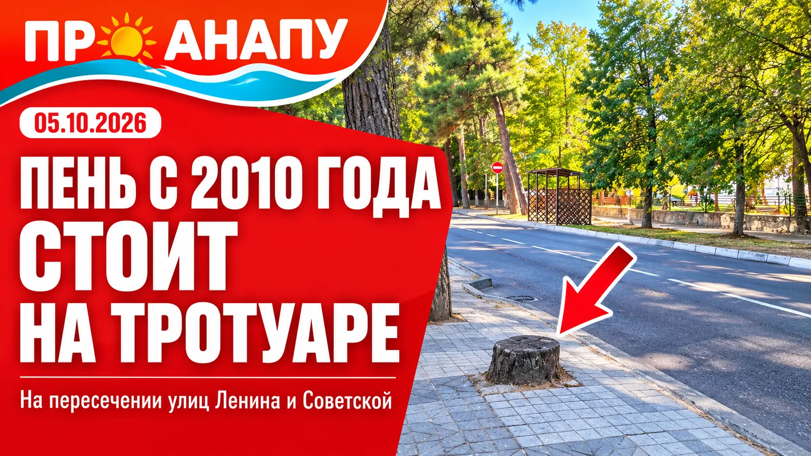 В Анапе годами остаются пни после сноса деревьев