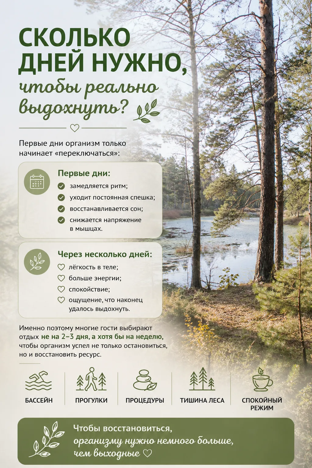 Сколько дней нужно, чтобы реально выдохнуть? 🌿
Часто гости приезжают в санаторий всего на пару дней