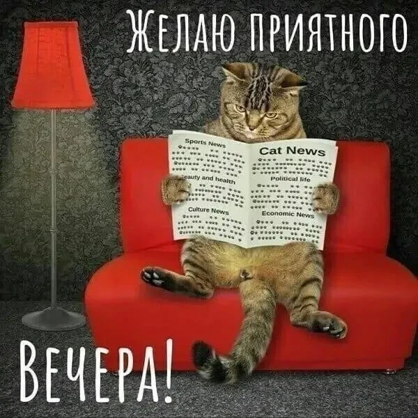 #ПриятногоВечера

Поздравления💌Подписаться

👉Выплаты и Льготы