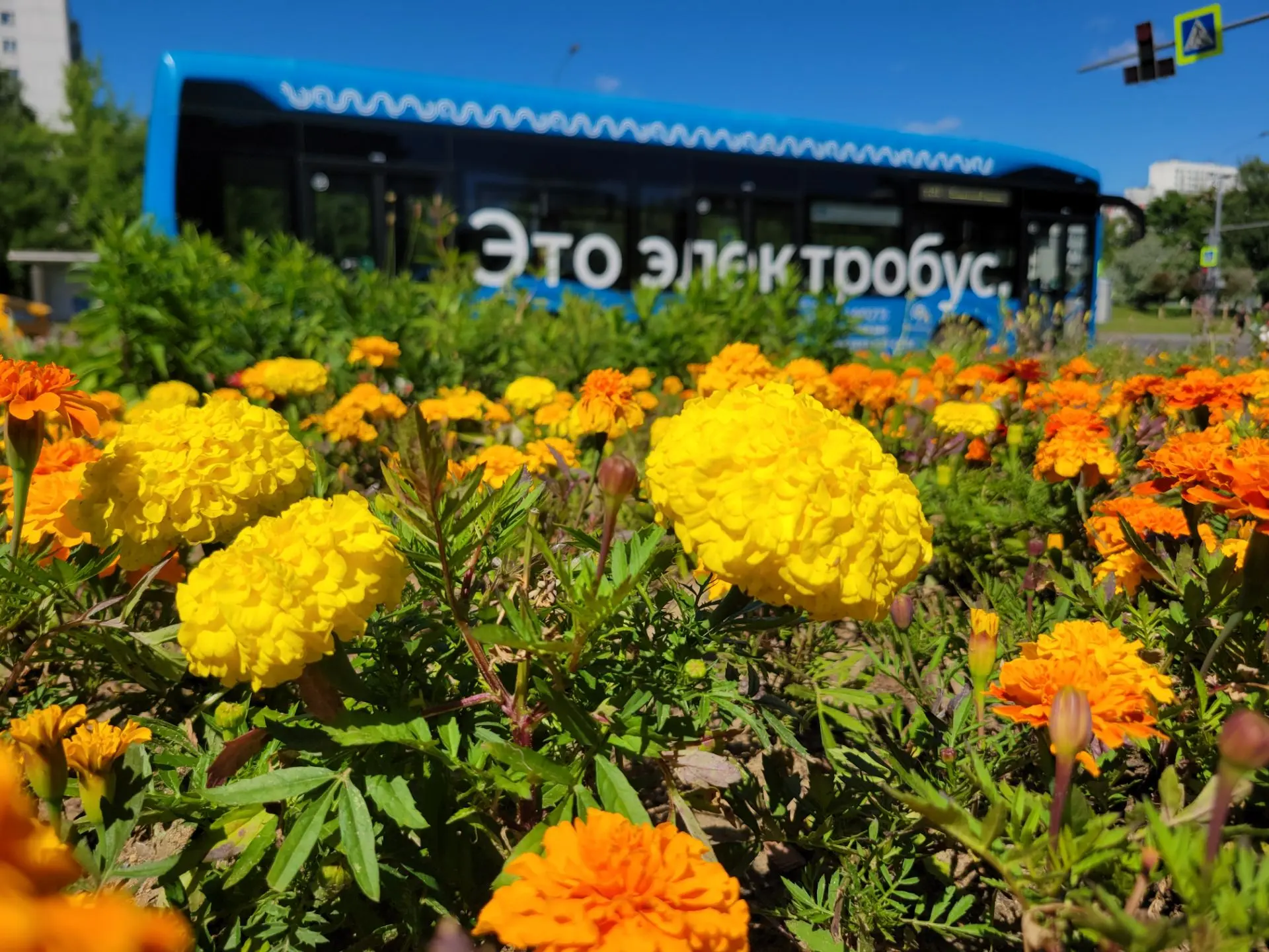 ☀️ Сегодня в Москве — самый долгий день 2026 года!

Летнее солнцестояние наступило 21 июня в 11:24. 