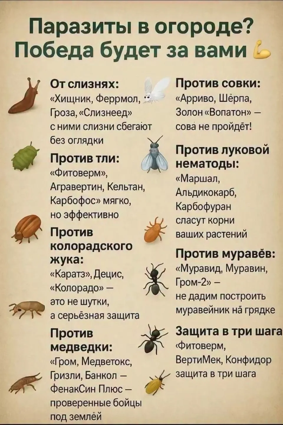Паразиты в огороде? Победа будет за вами! 💪🐛❌

Лето в разгаре, а вместе с ним активизировались и г
