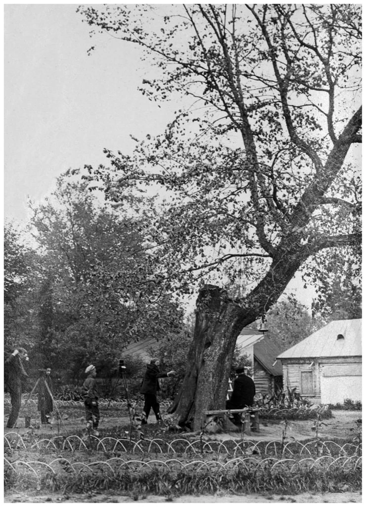 Петр Кулаков и Сергей Прокудин-Горский фотографируют Льва Толстого, сидящего под «деревом бедных», Я