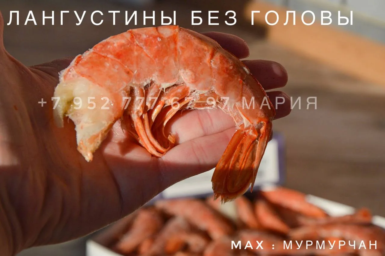 Доброго дня