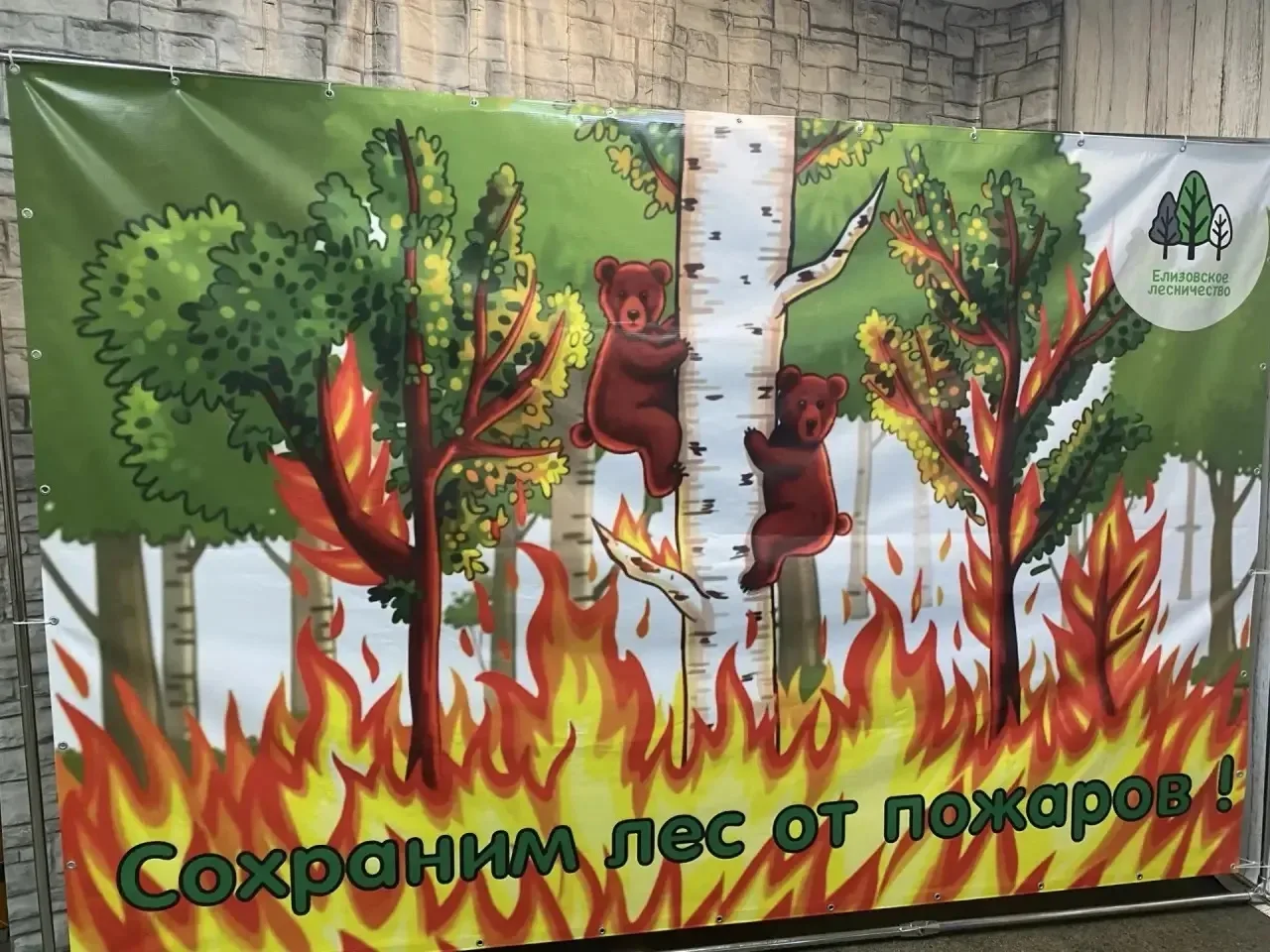 🔥Сохраним лес от пожаров: юные художники нашей школы получили награды🏆