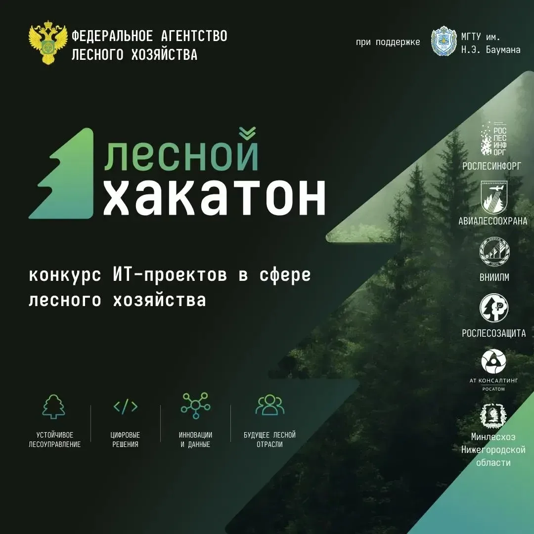 Стартовал прием заявок на первый в России конкурс по цифровизации лесной отрасли — Лесн...