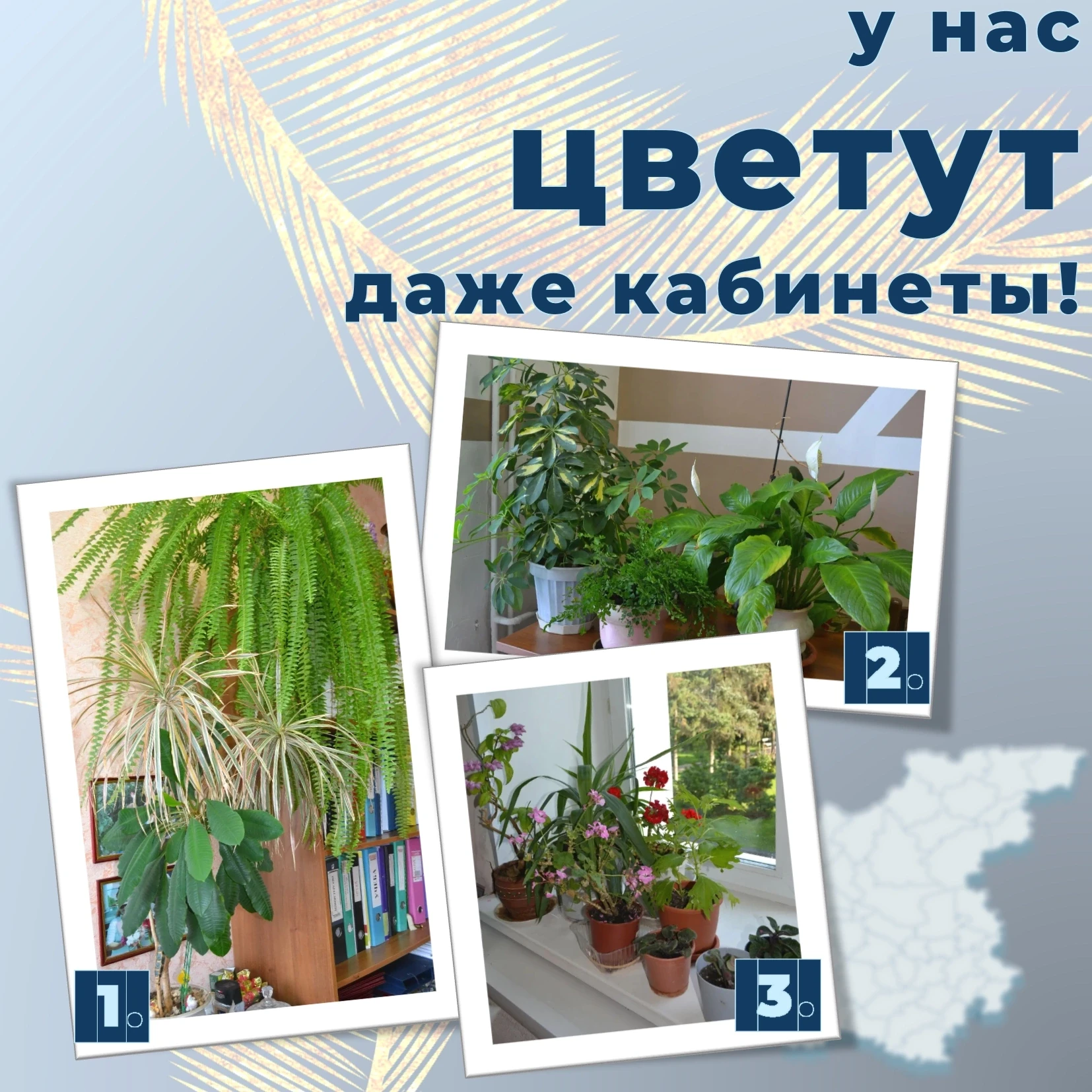 🌼 Встречаем новый день с цветами!