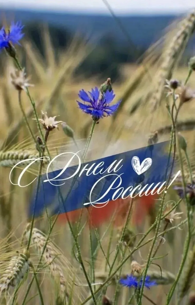 🇷🇺 День России