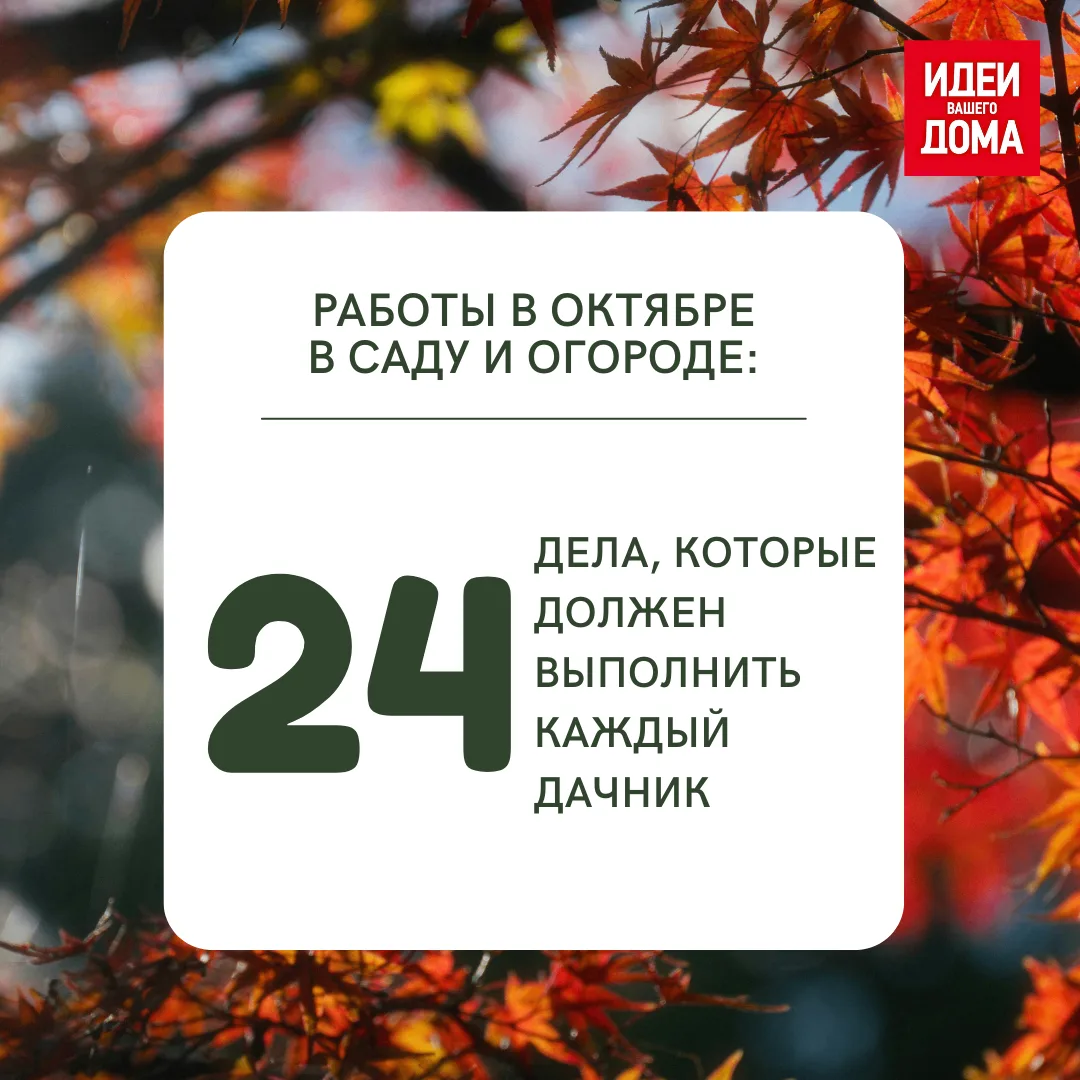 Что нужно успеть сделать на даче в октябре 🍂