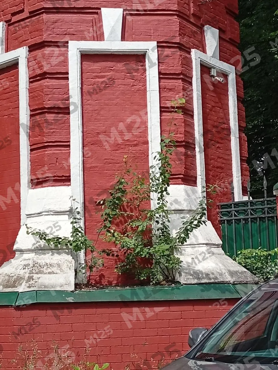 Соседи заметили, что башни усадьбы Михалково почему-то начали покрываться порослью. Сил...