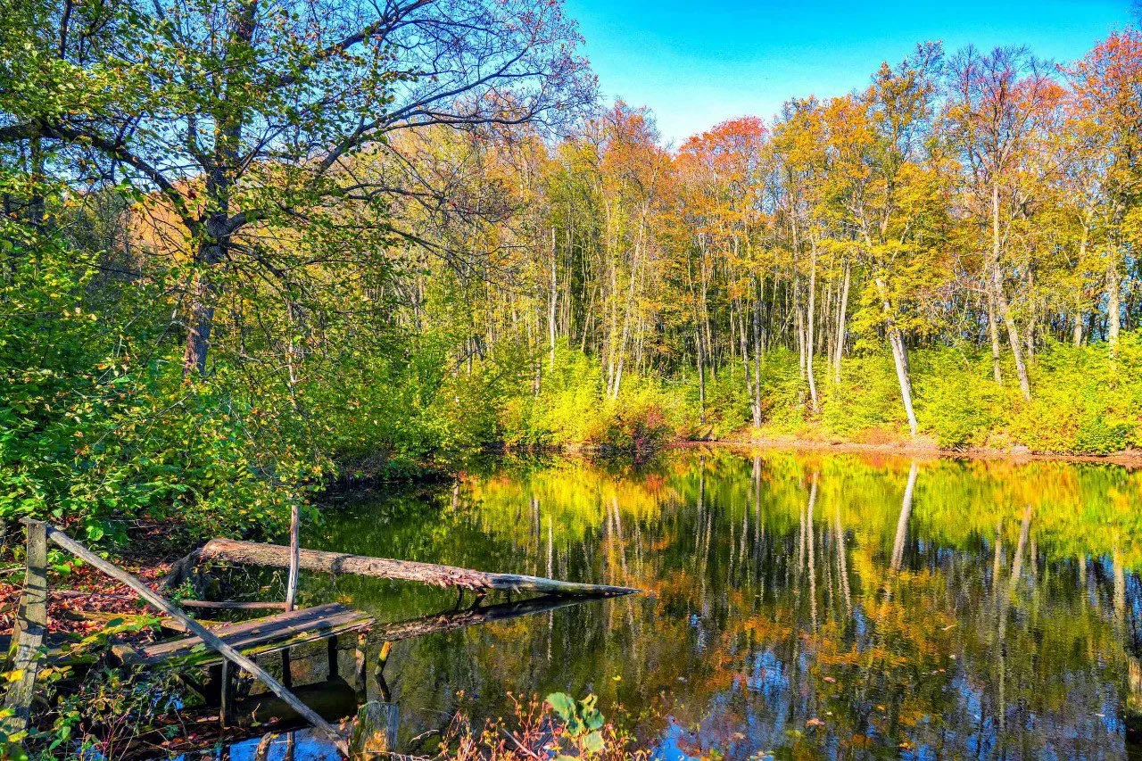 Место спокойствия за Жигулевском 🍂