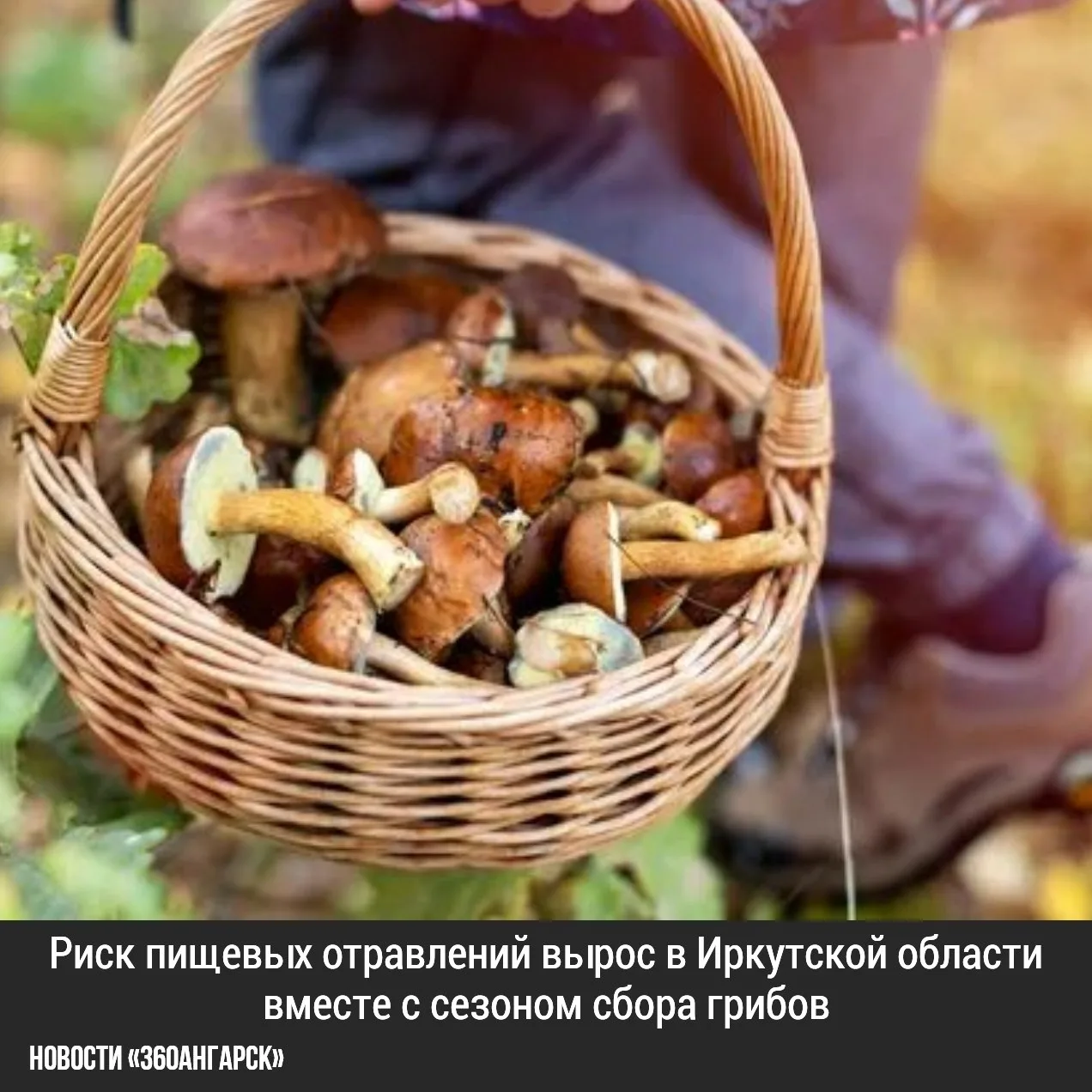 Риск пищевых отравлений вырос в Иркутской области вместе с сезоном сбора грибов. А пото...