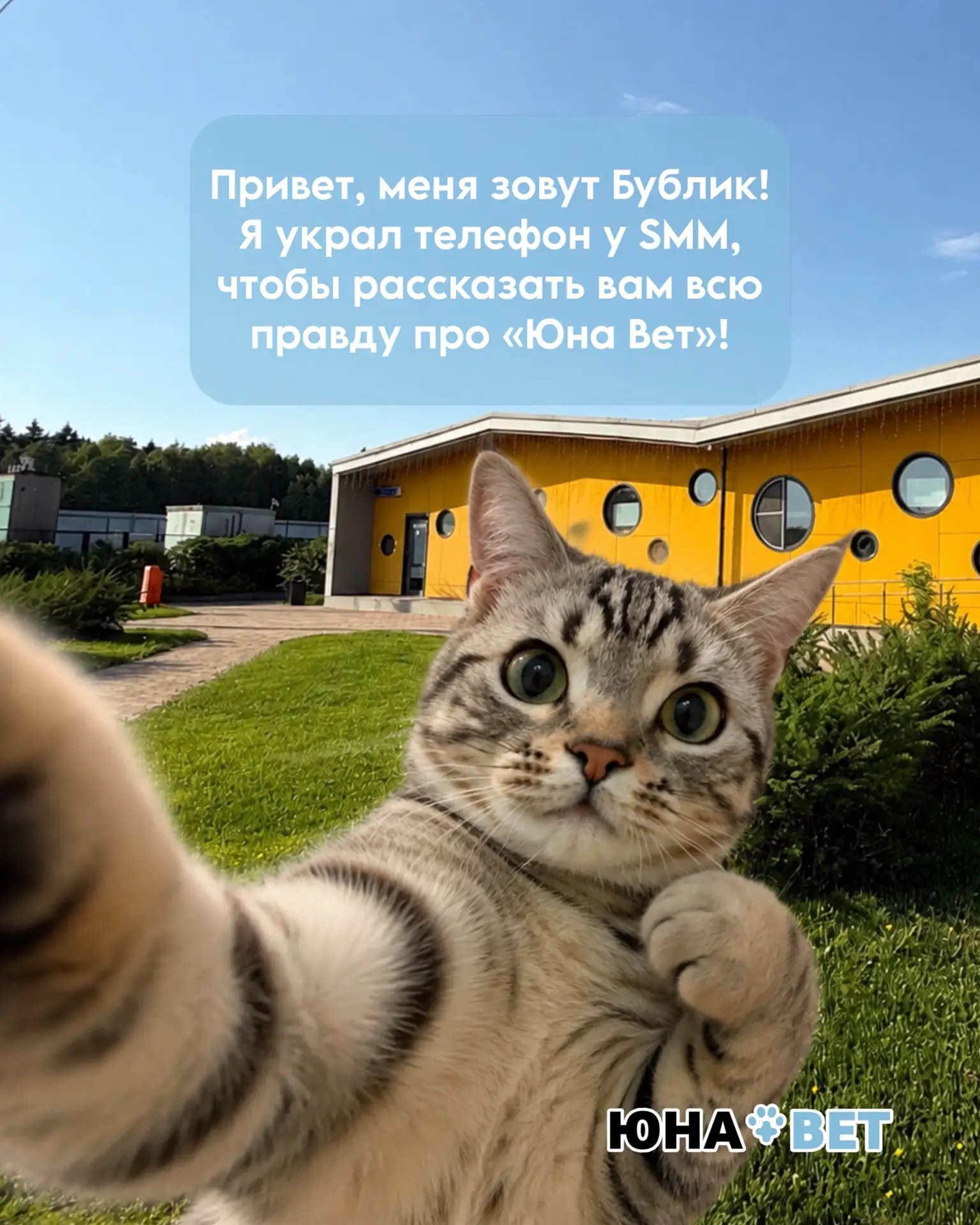 А вы задумывались, как наши четвероногие друзья смотрят на этот мир?