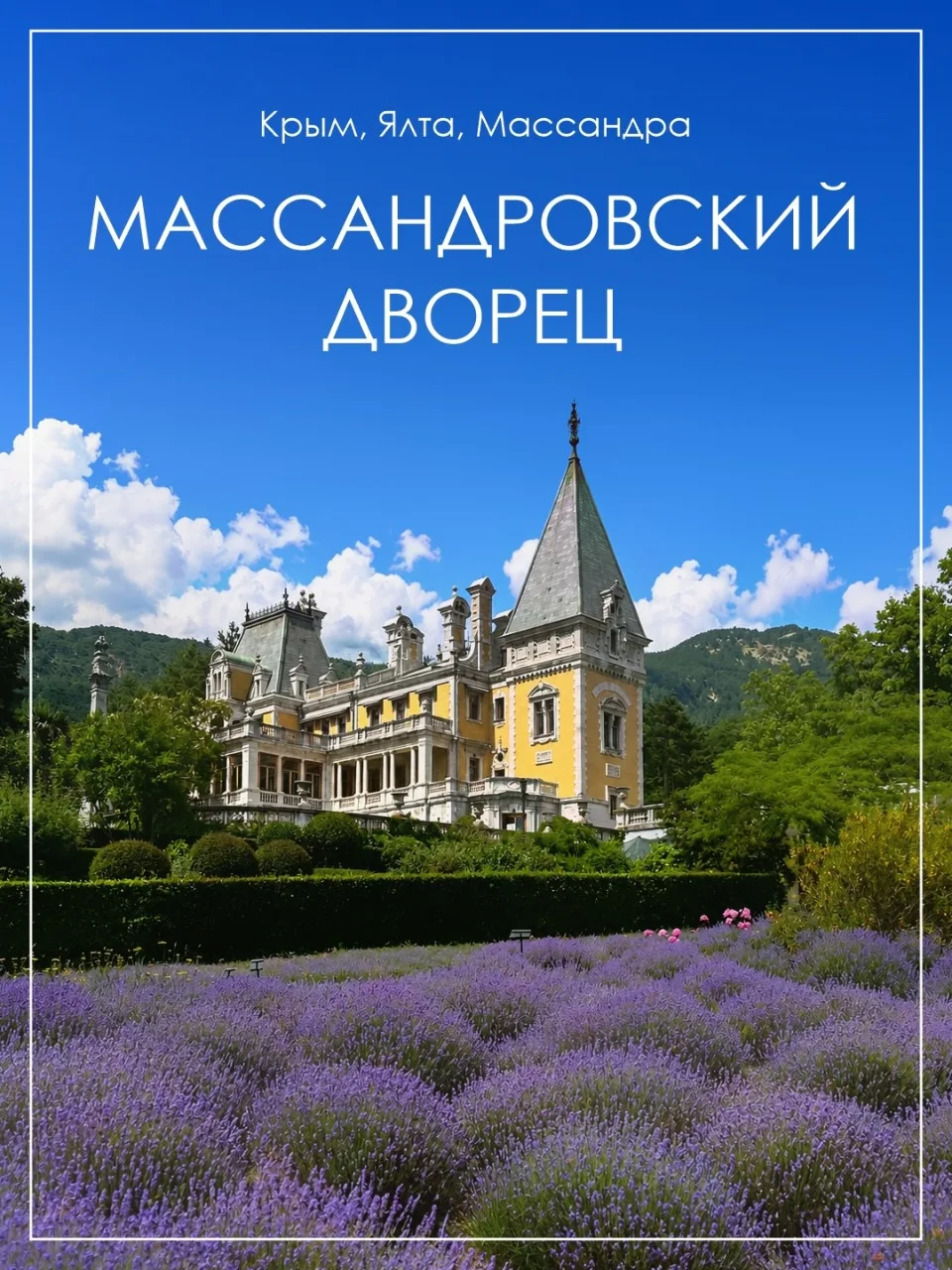 Когда цветет лаванда в Саду ароматов Массандровского дворца, кажется, что лето достигло...