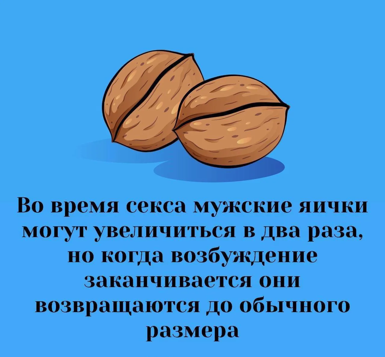 Сексология