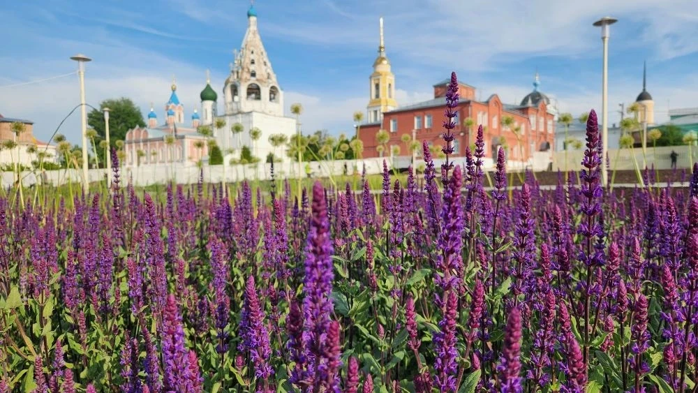 😍 «Маленький Прованс» в сердце Коломны: сквер «Блюдечко» готовится к открытию

Сегодня практически 