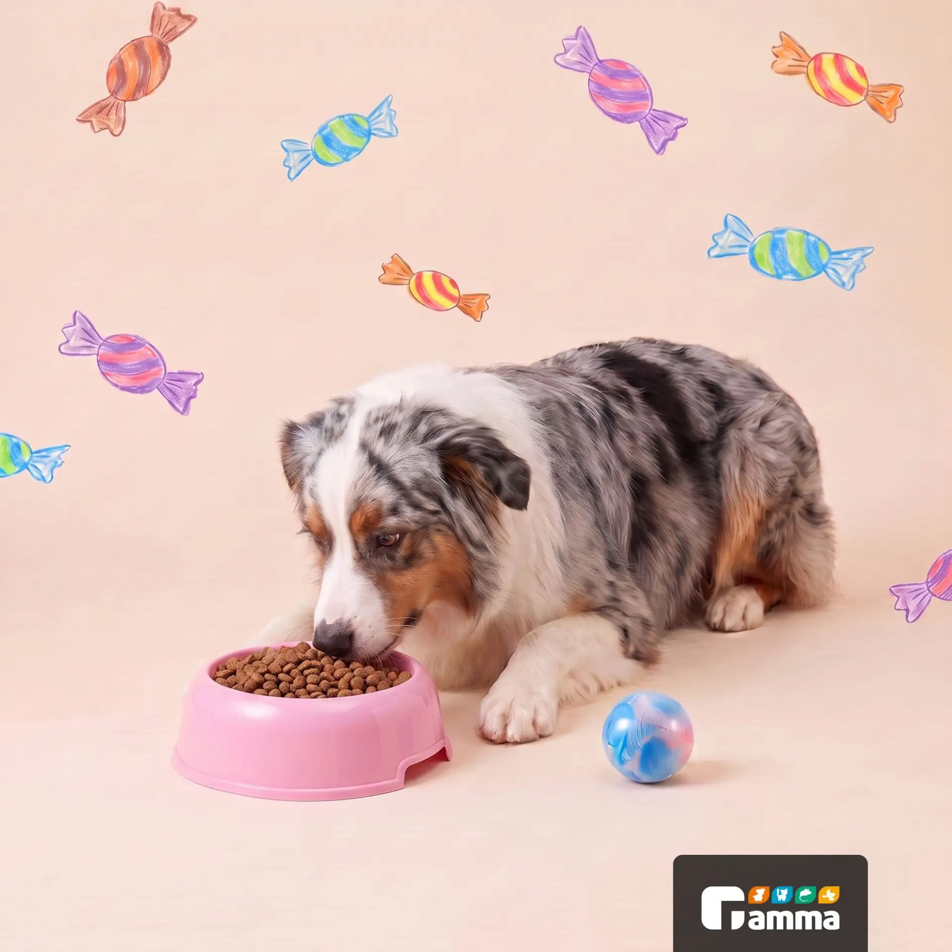 Этот пост вызовет аппетит не только у вашего питомца! 🐾