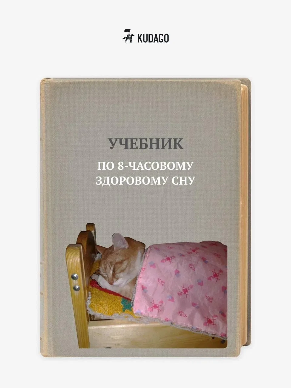 Предадимся школьной ностальгии и вспомним предметы, которые мы изучали: математика, гео...
