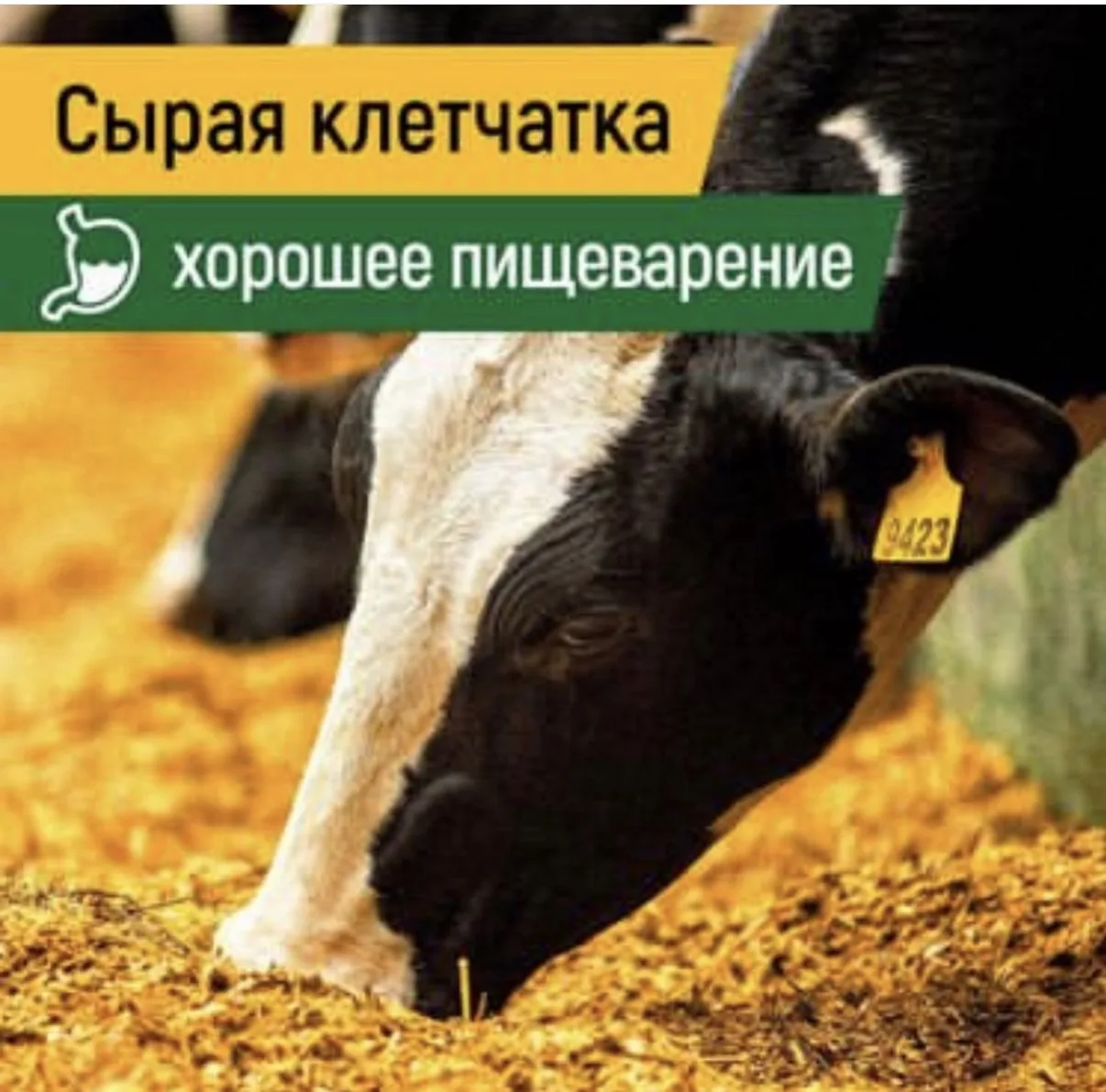 Продолжаем нашу рубрику