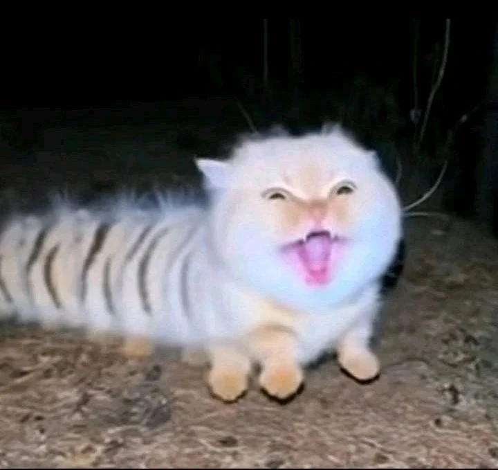 Первая часть ваших аватарок 😈