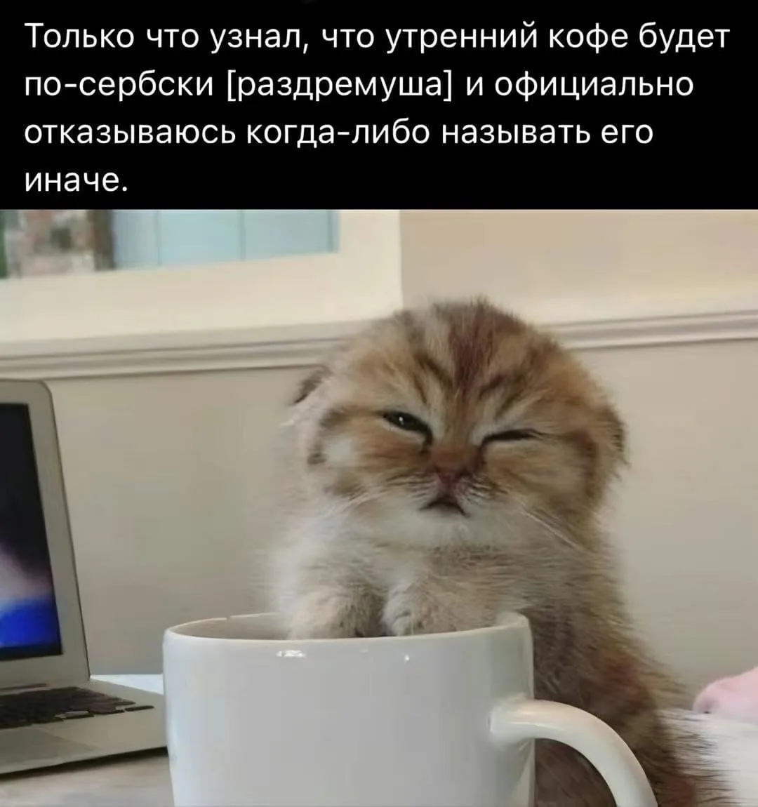 Доброе утро, мир!