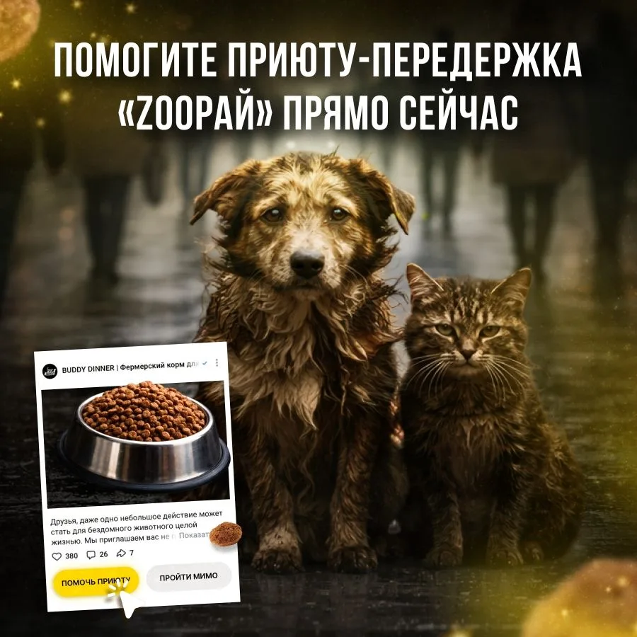 Через 6 часов заканчивается корзина помощи для приюта "Приют - передержка ZооРай" г. Ижевск. ZооРай 