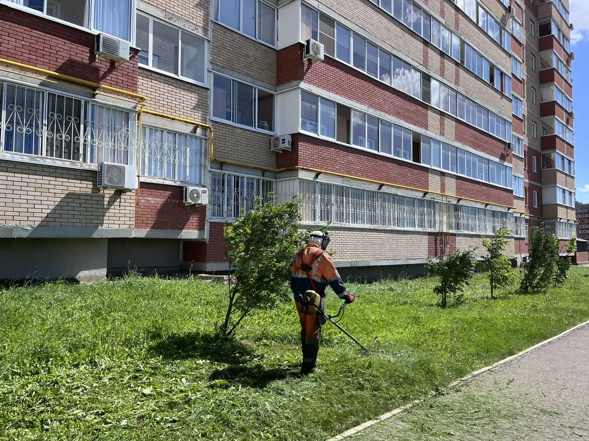 🌳В Альметьевске продолжаются работы 

В городе продолжаются плановые работы. Коммунальные службы со