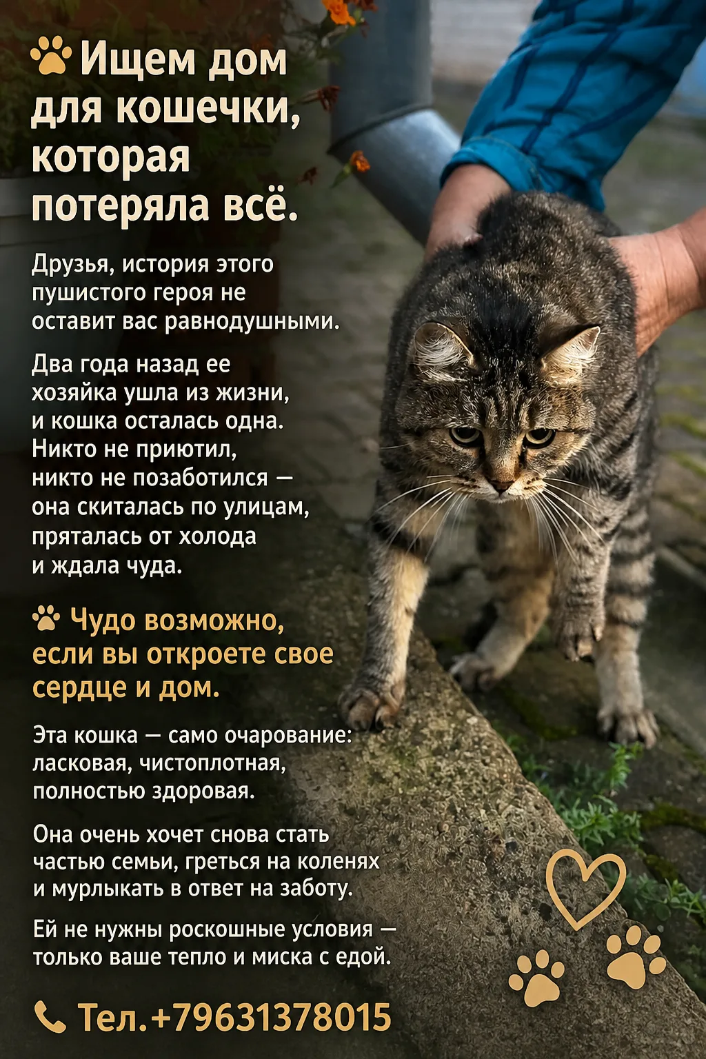 Тел.+79631378015