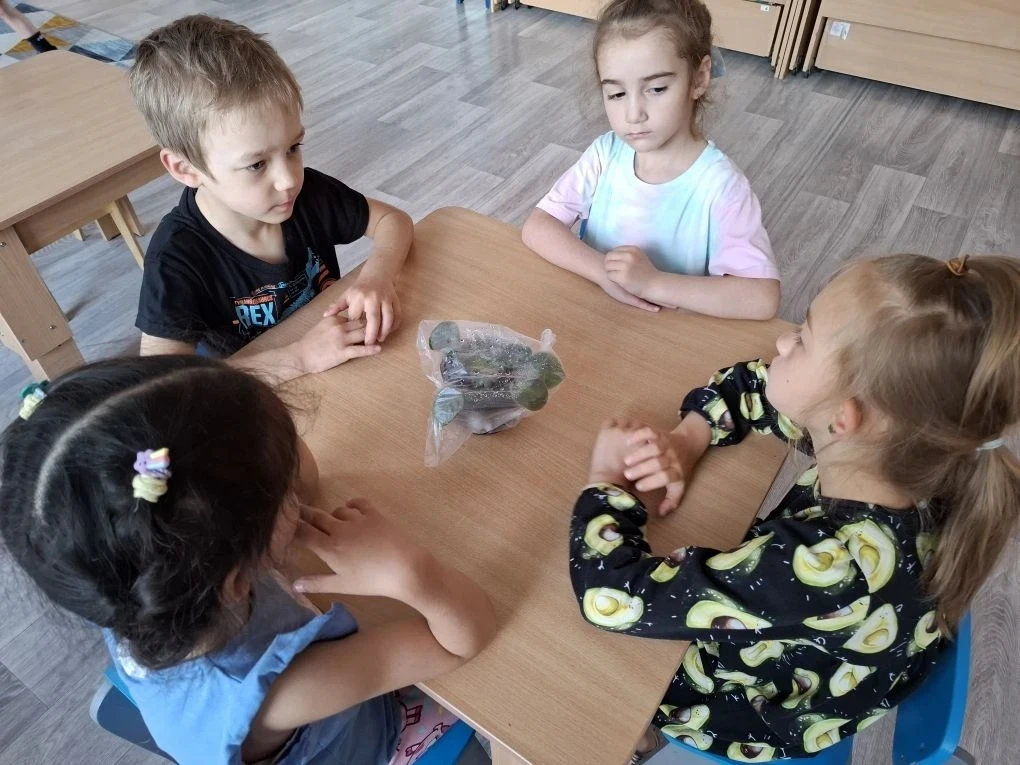 В группе "Непоседы" прошли увлекательные летние деньки.
"День бумажных самолётиков"-  дети с большим