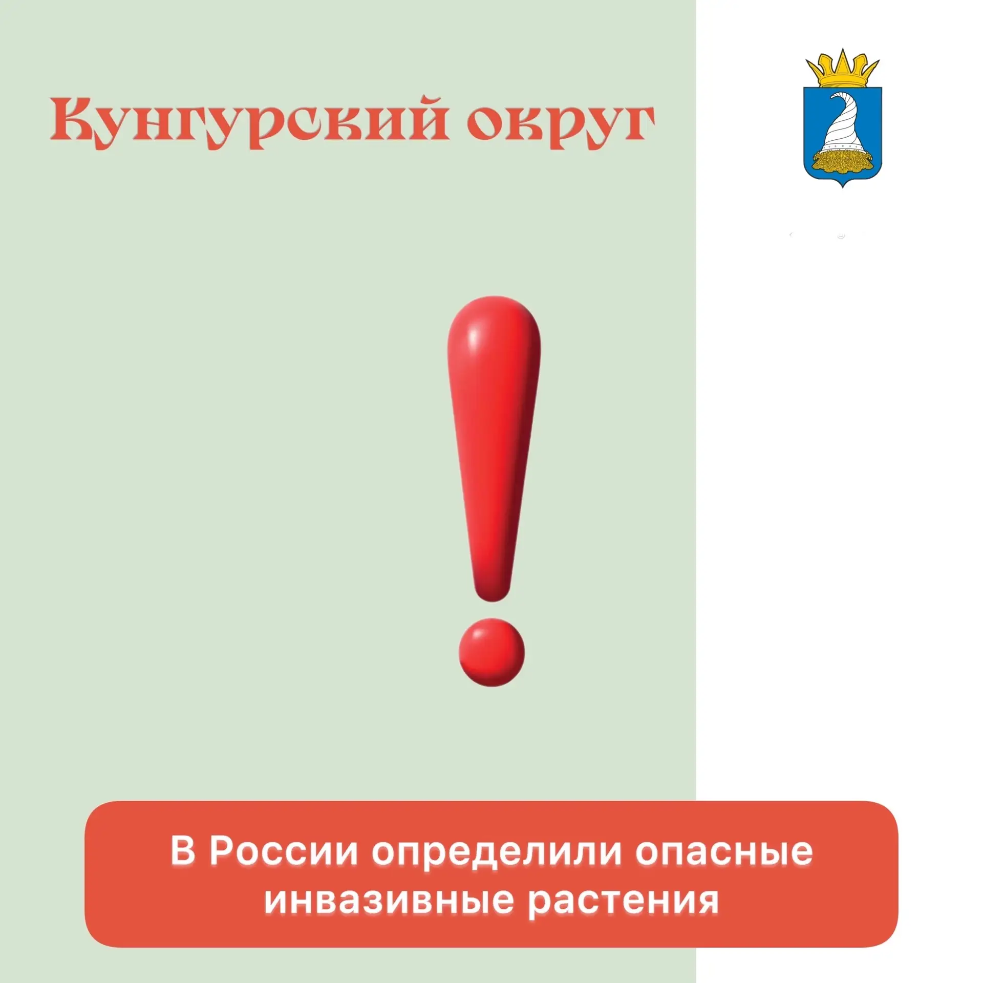 🌿 В России определили опасные инвазивные растения