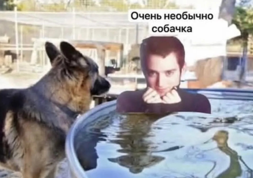 Сегодня День дружбы 🤝

Скиньте любимый мем другу и заодно нам в коменты. Будем пополнять коллекцию 