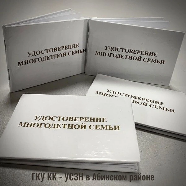 Как оформить статус многодетной семьи