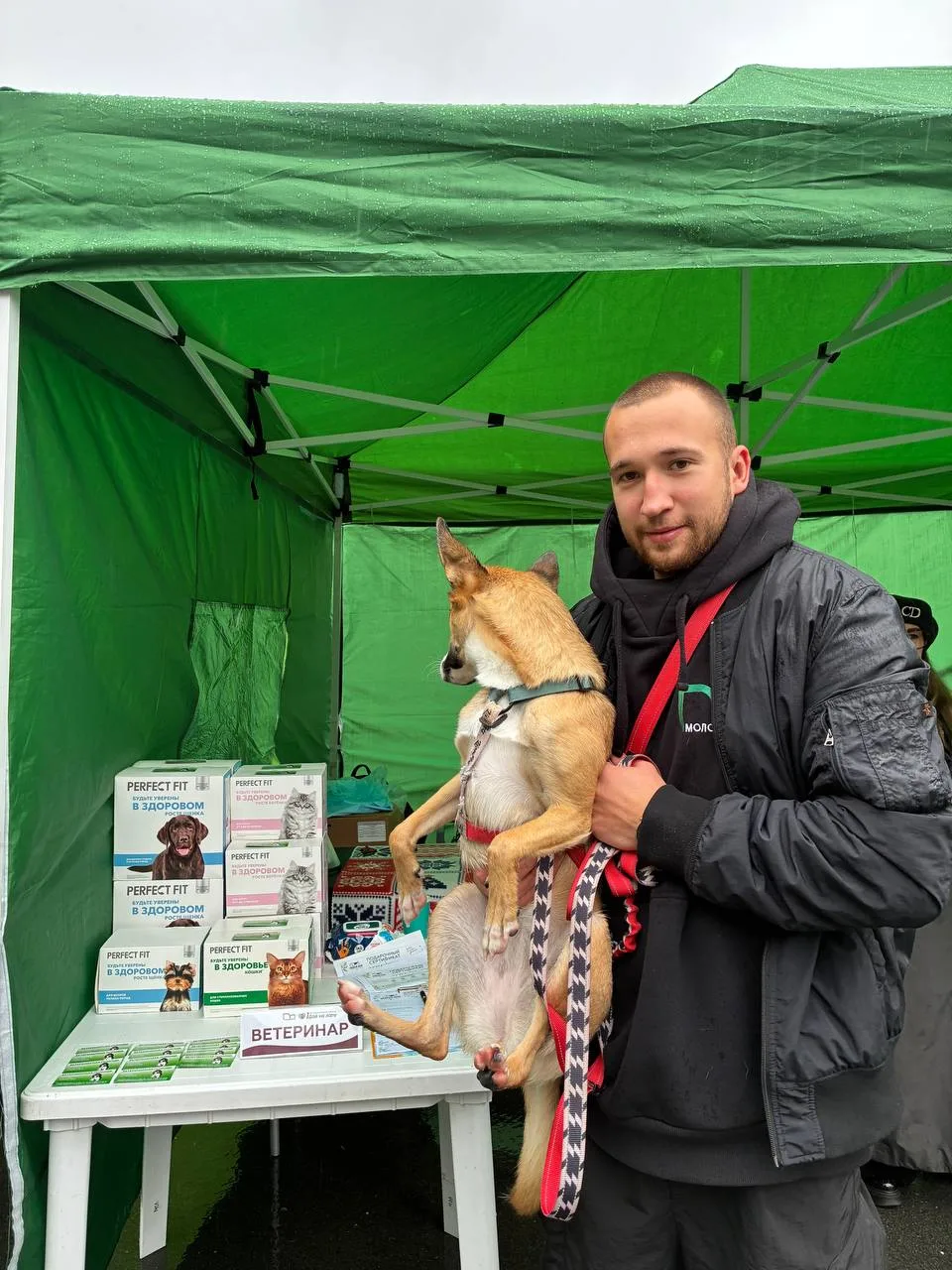 🐶Знакомим вас с замечательными специалистами ветеринарной клиники «Зверьё Моё»!