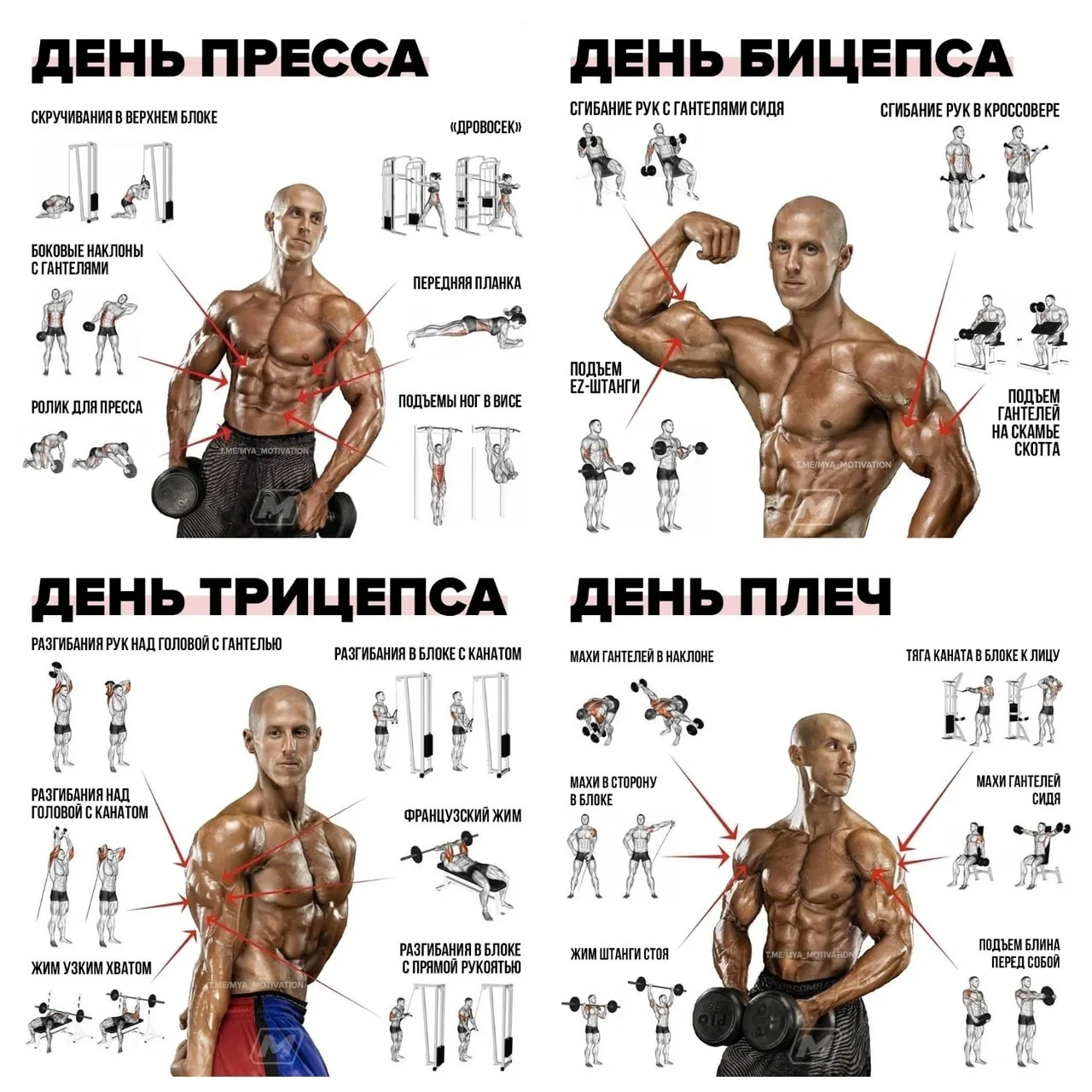 Подборкa упрaжнений нa рaзные группы мышц.👌