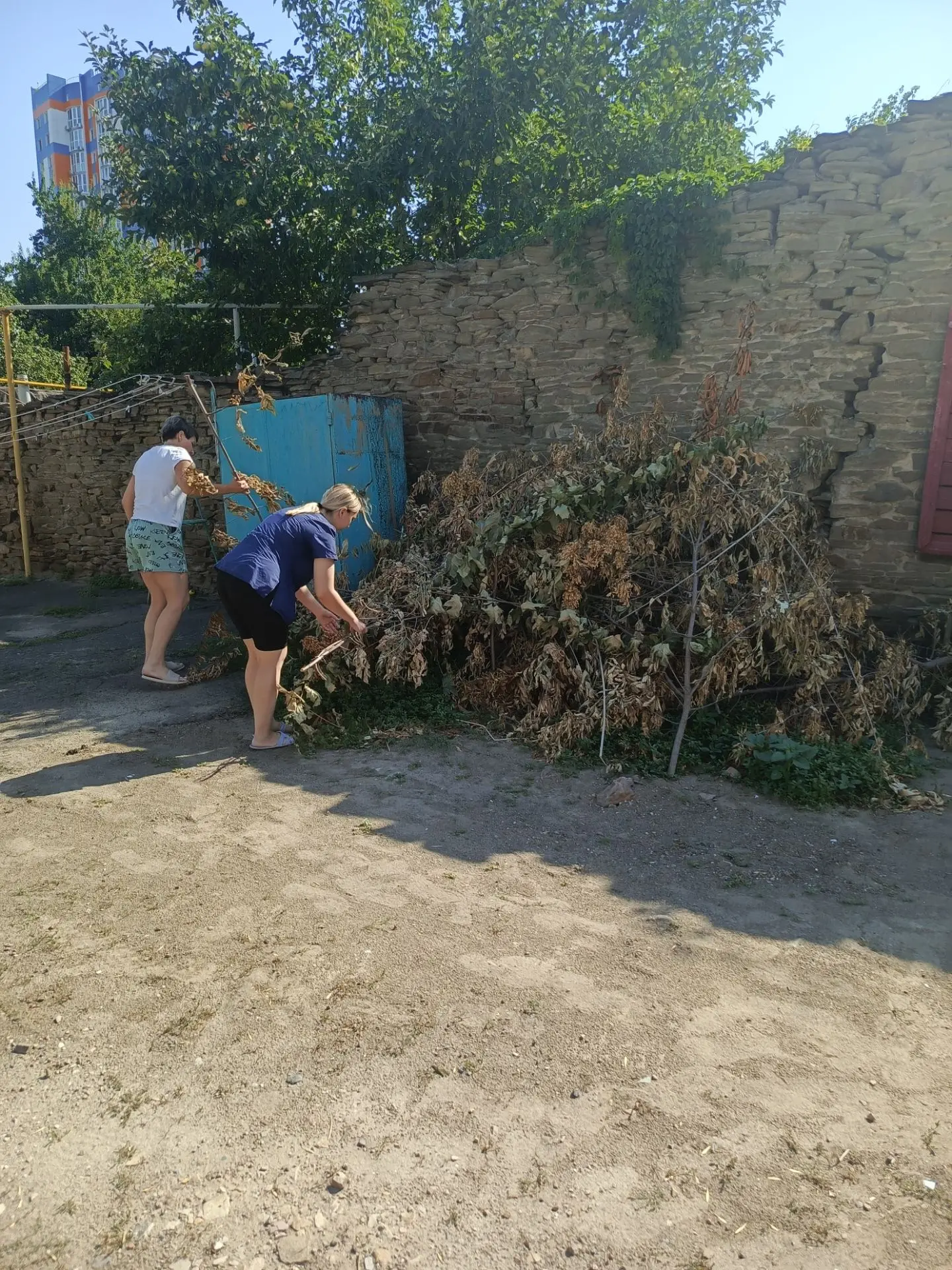 В целях обеспечения безопасности была проведена полная уборка территории: вывезен бытов...