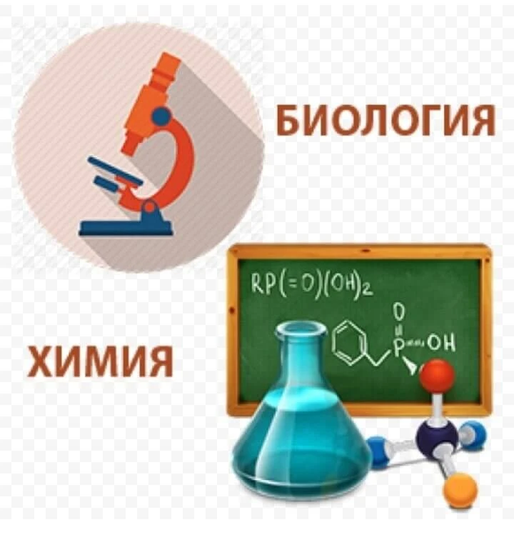 Преподаватель по химии и биологии с опытом работы 30 лет, подготовит к ОГЭ и  ЕГЭ по хи...