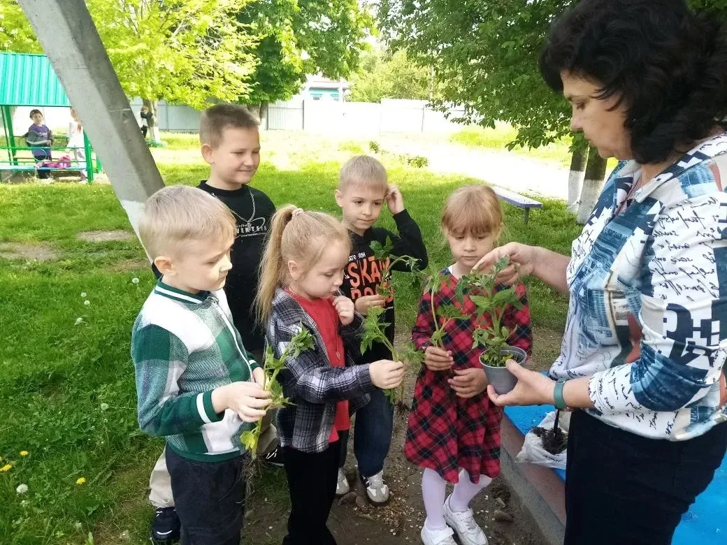 #АгротрудВДетскомСаду 🌱