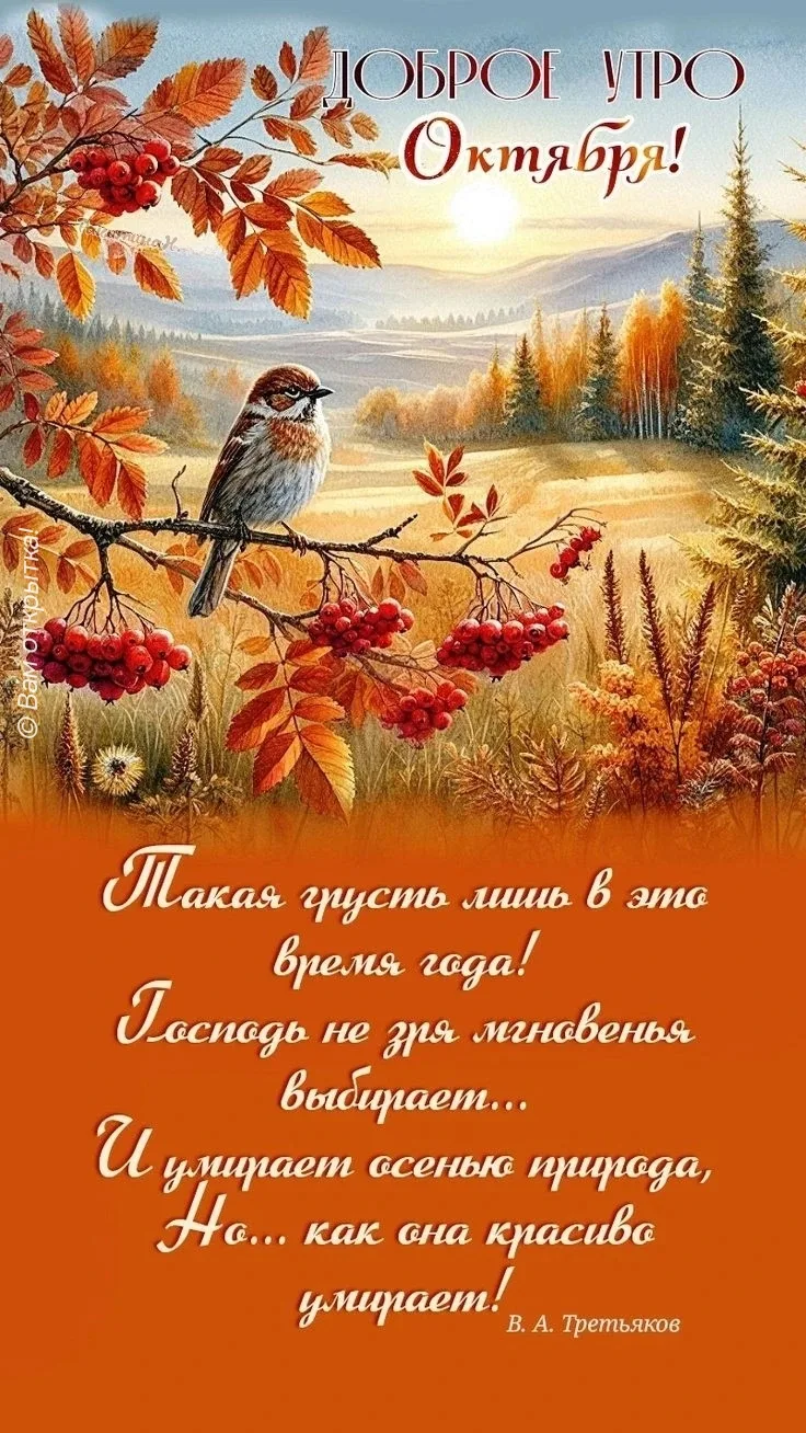 #ДоброеУтро