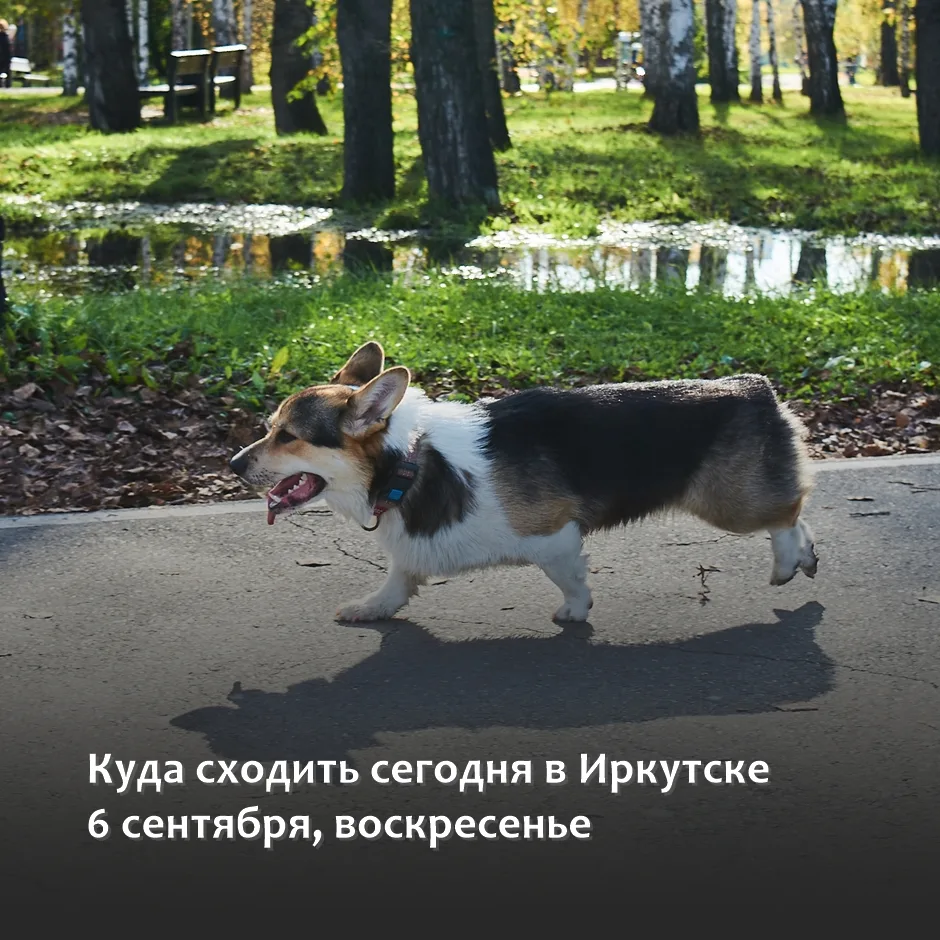 ▫АФИША ИРКУТСКА: ПЛАНЫ НА СЕГОДНЯ