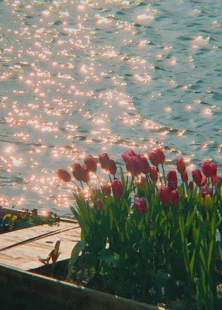 Доброе утро, девочки ❤