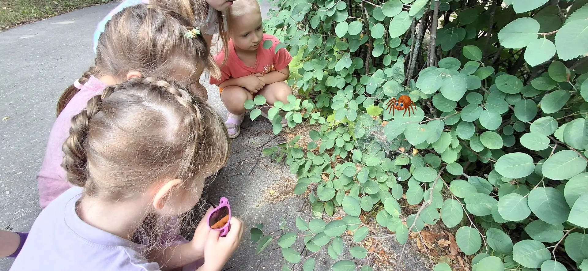 Маленькие исследователи 🔎: как мы с детьми открывали мир насекомых🦋🐛🐞🕷🪲

Сегодня хочу поделить