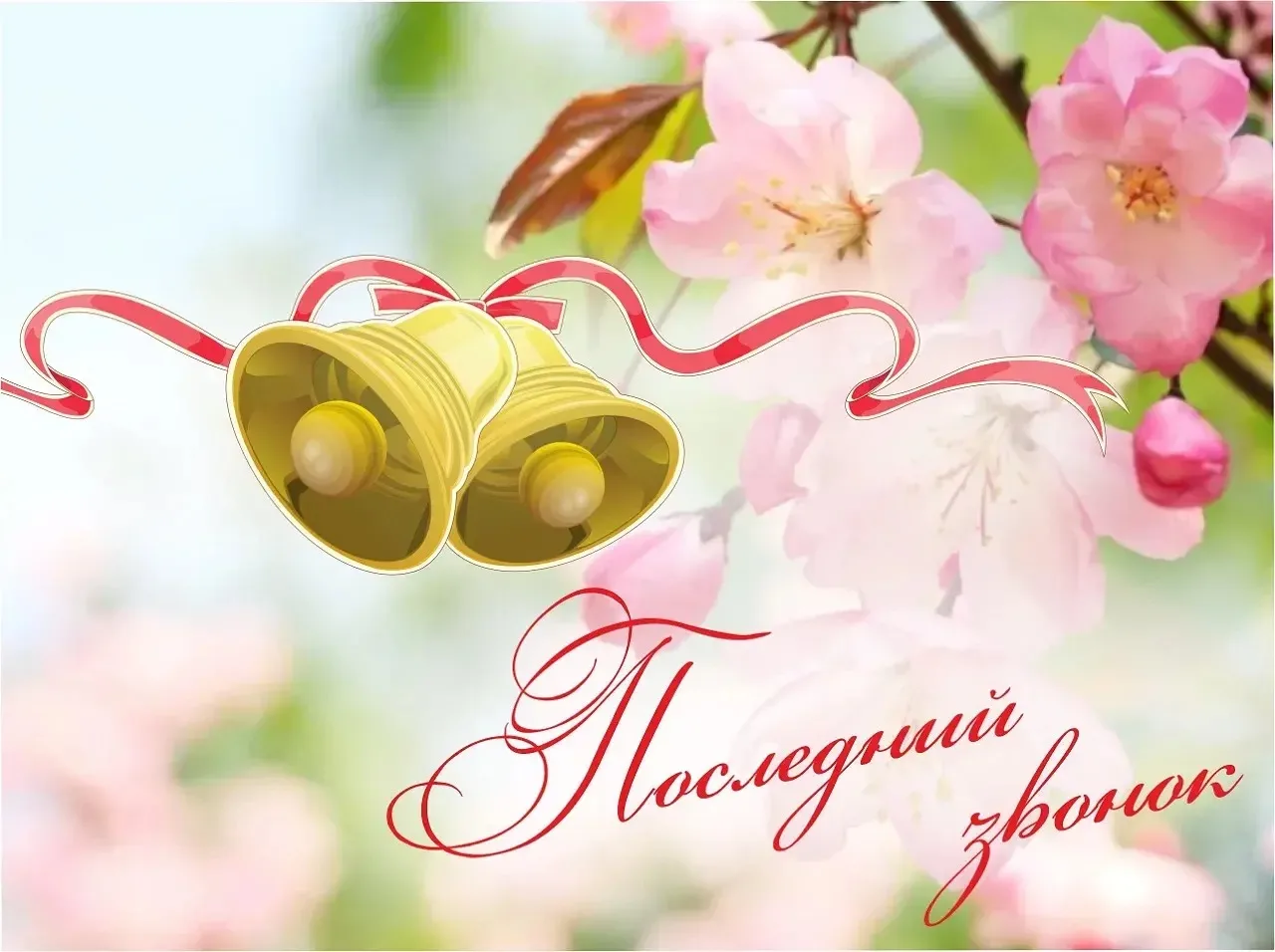 Дорогие выпускники!