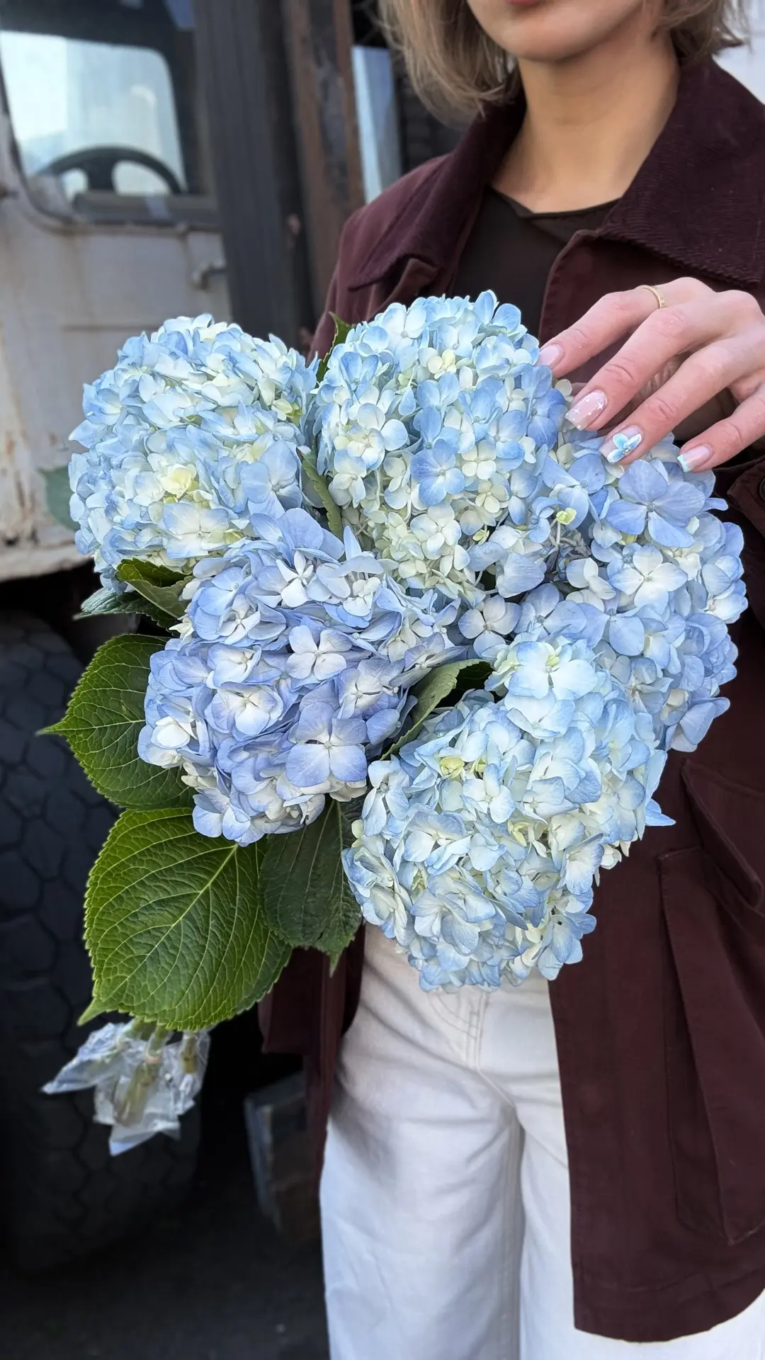 🌸   Свежее поступление