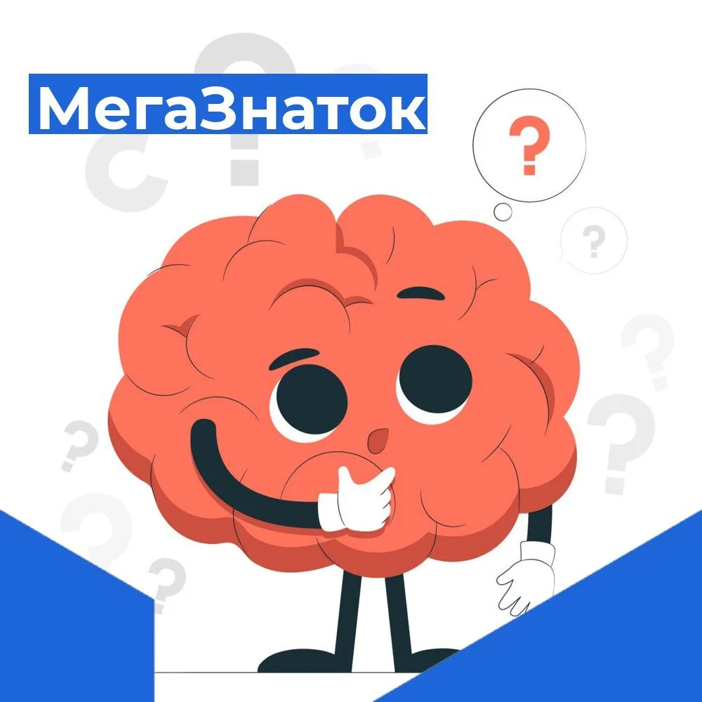 Рубрика «МегаМозг»