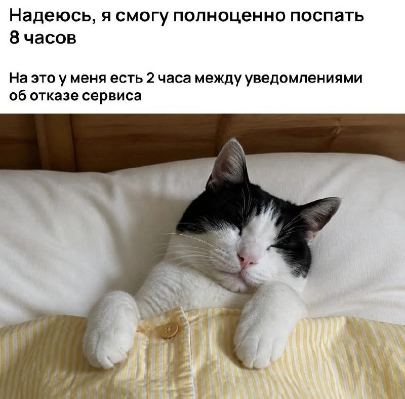 Британские ученые выяснили, что для полноценного сна нужна всего лишь… отказоустойчивая...