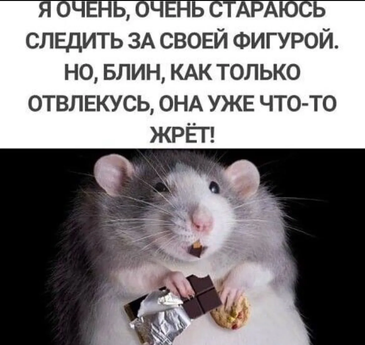 Дурилка картонная