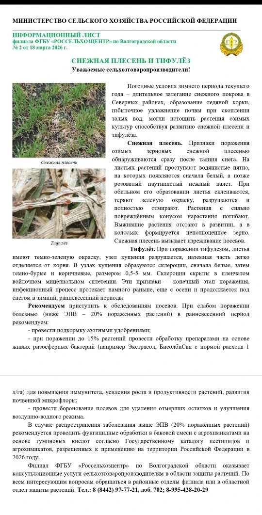 Филиал ФГБУ "Россельхозцентр" по Волгоградской области информирует